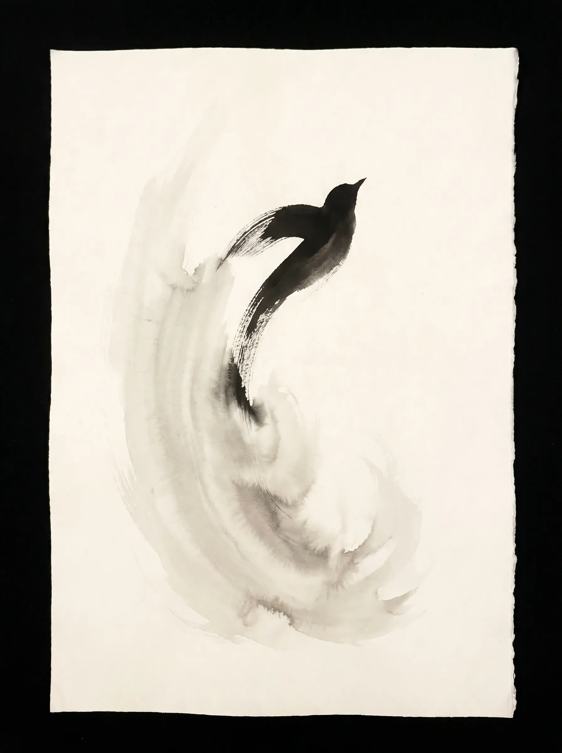 A bird