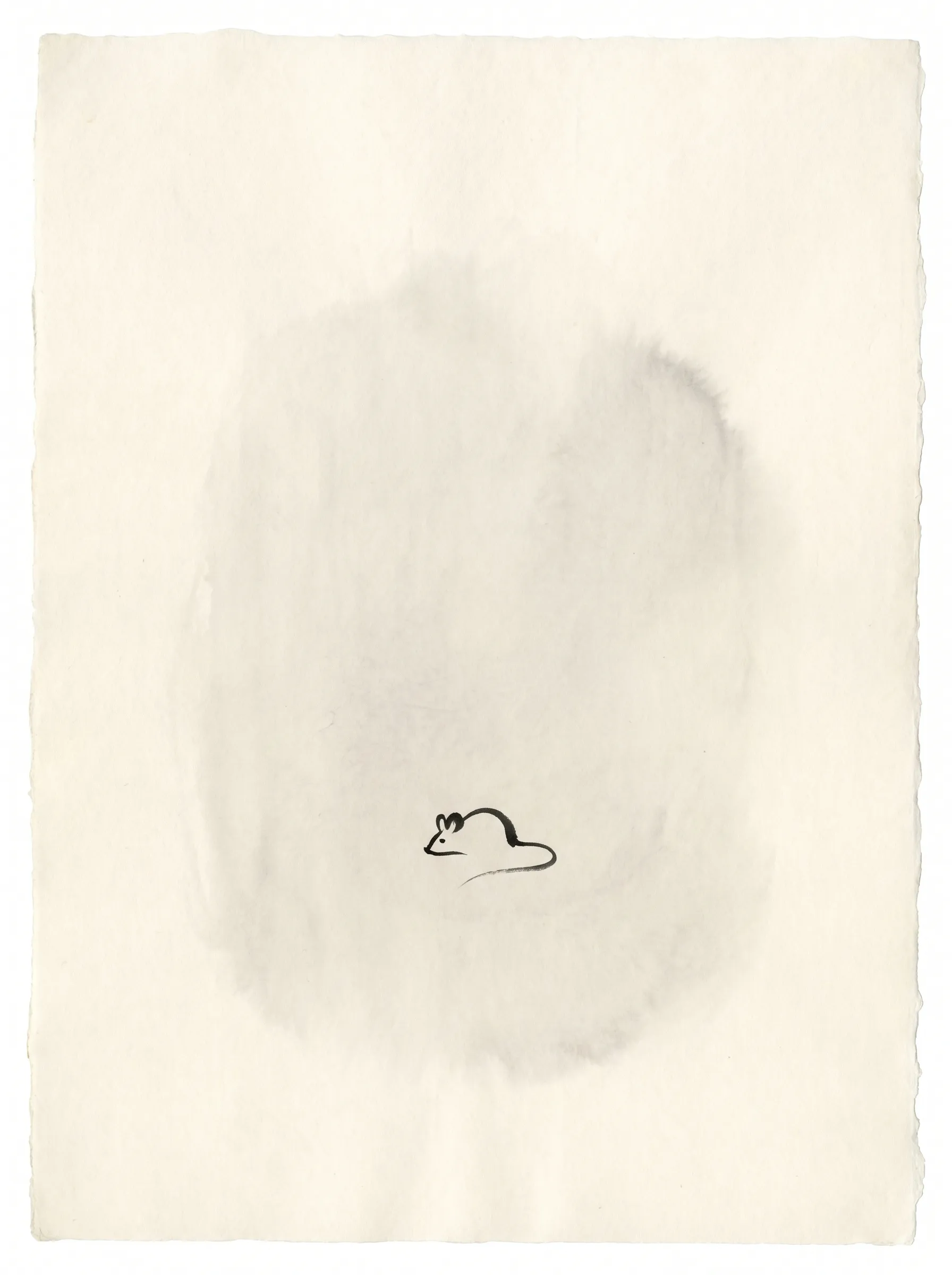 Little mouse