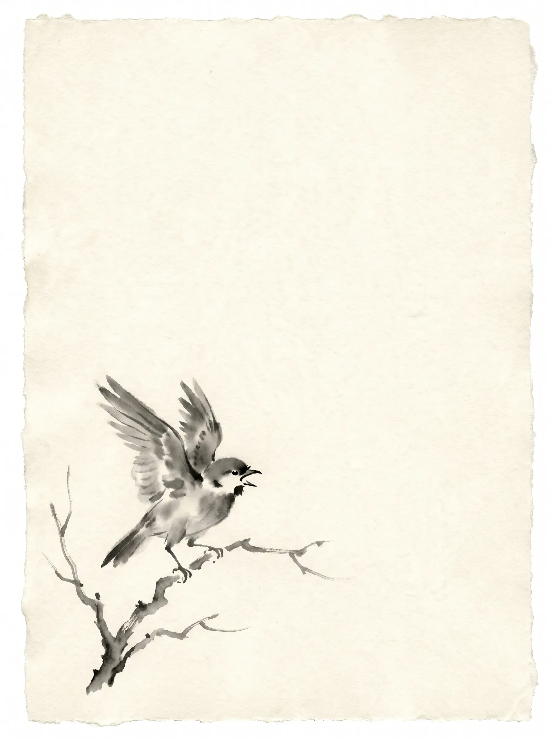 My little bird
